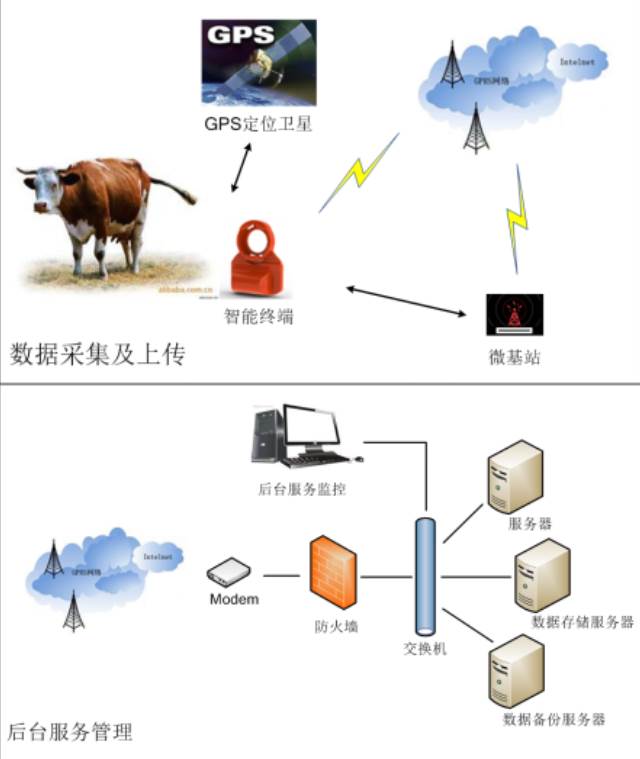 物联网智慧牧场管理系统