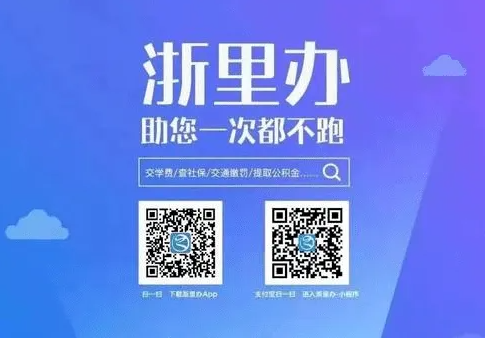 浙里办应用开发