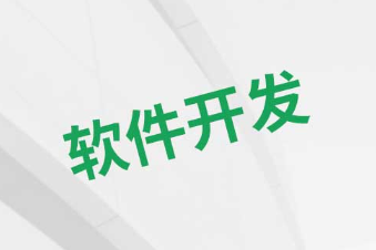 软件开发
