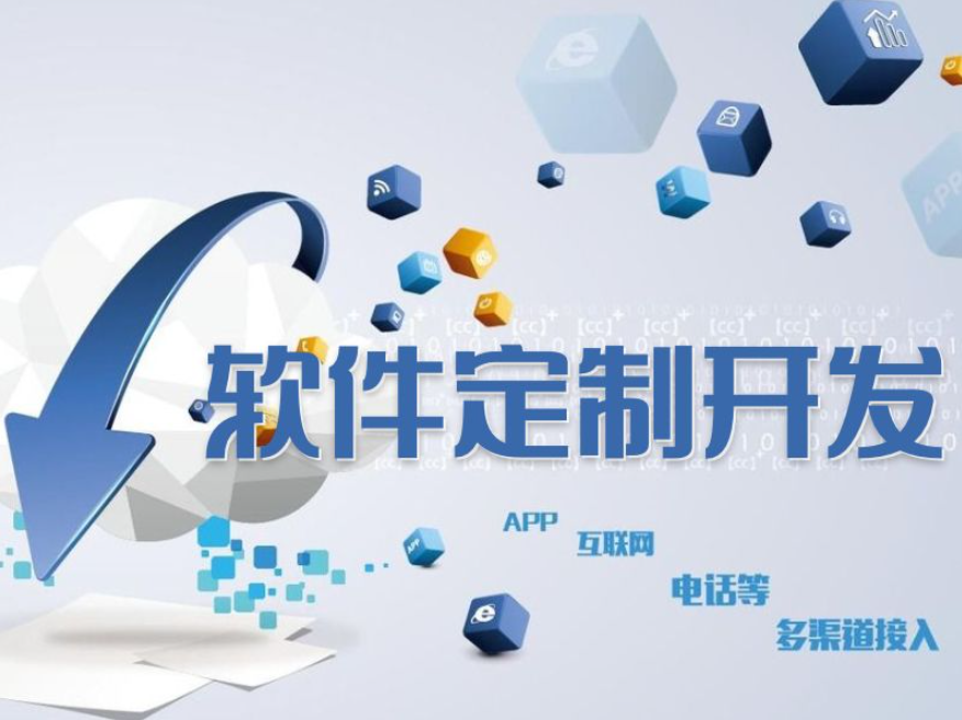 专业做软件开发