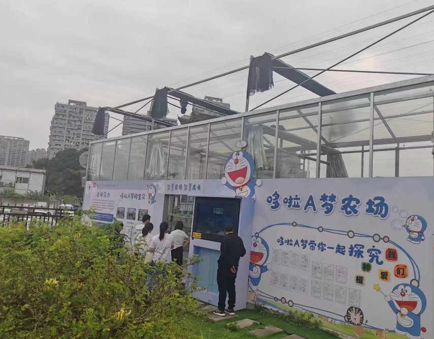 校园农场_玻璃大棚(物联网智慧农业)