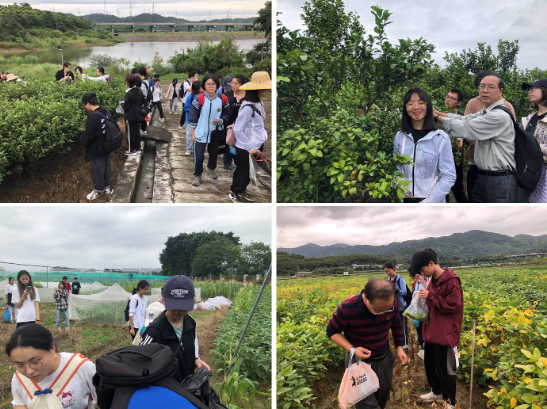 校园农场病虫害采集（教学方向）