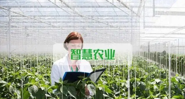 智慧农业多要素监测系统